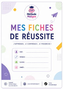 Fiches de réussite